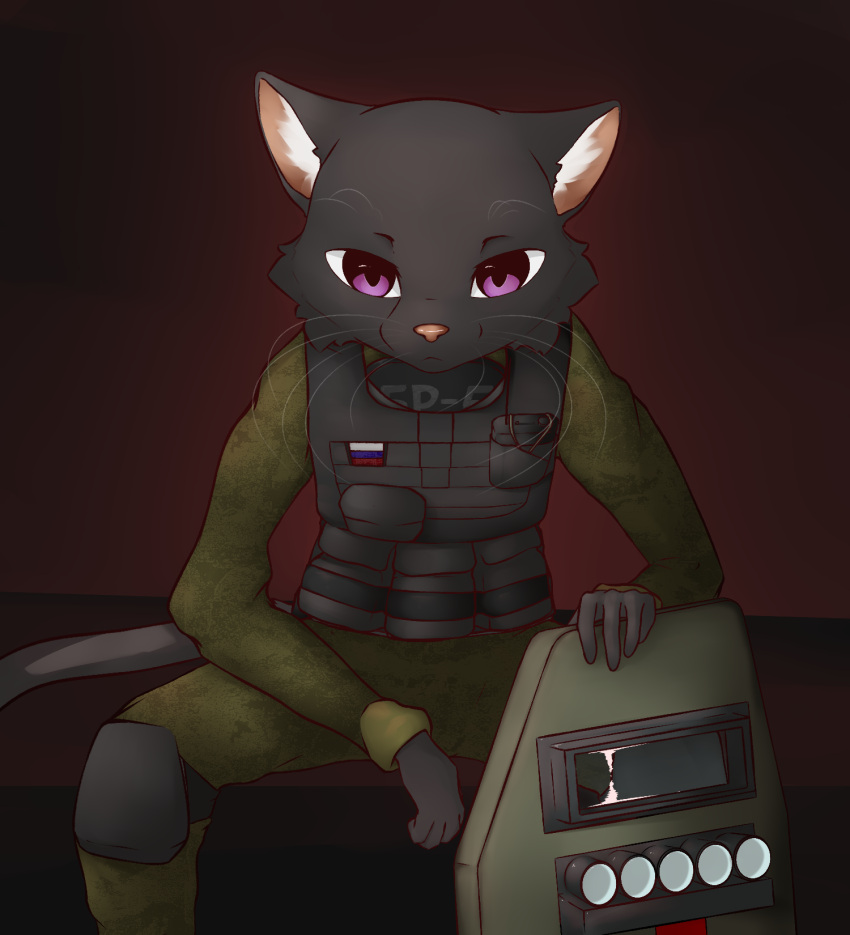 anthro armor cdt2s domestic_cat felid feline felis female flag hi_res inner_ear_fluff mammal russian_flag shield simple_background sitting snowflake_(cdt2s) solo spetsnaz tuft whiskers