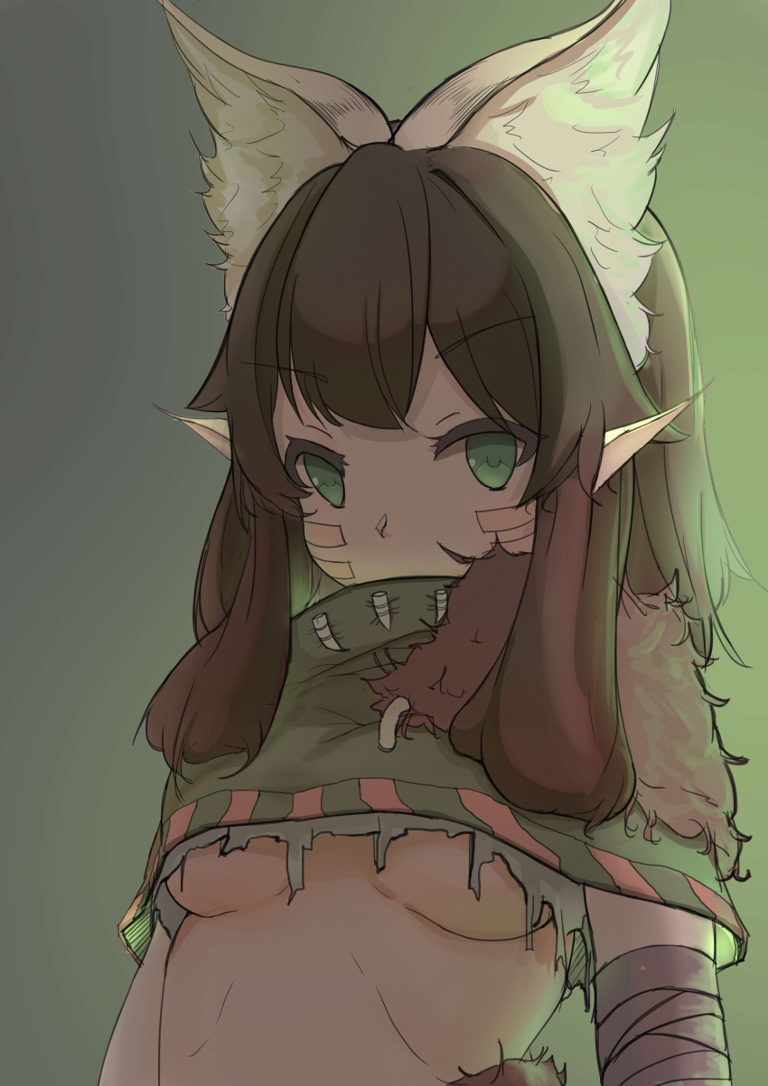 absurdres animal_ear_fluff animal_ears bandaged_arm bandages breasts brown_hair capelet chinese_commentary commentary copyright_request facial_mark female fur_trim gradient_background green_background green_capelet green_eyes highres long_hair looking_at_viewer pointy_ears small_breasts solo tomori-san_(pixiv_7519735) underboob upper_body