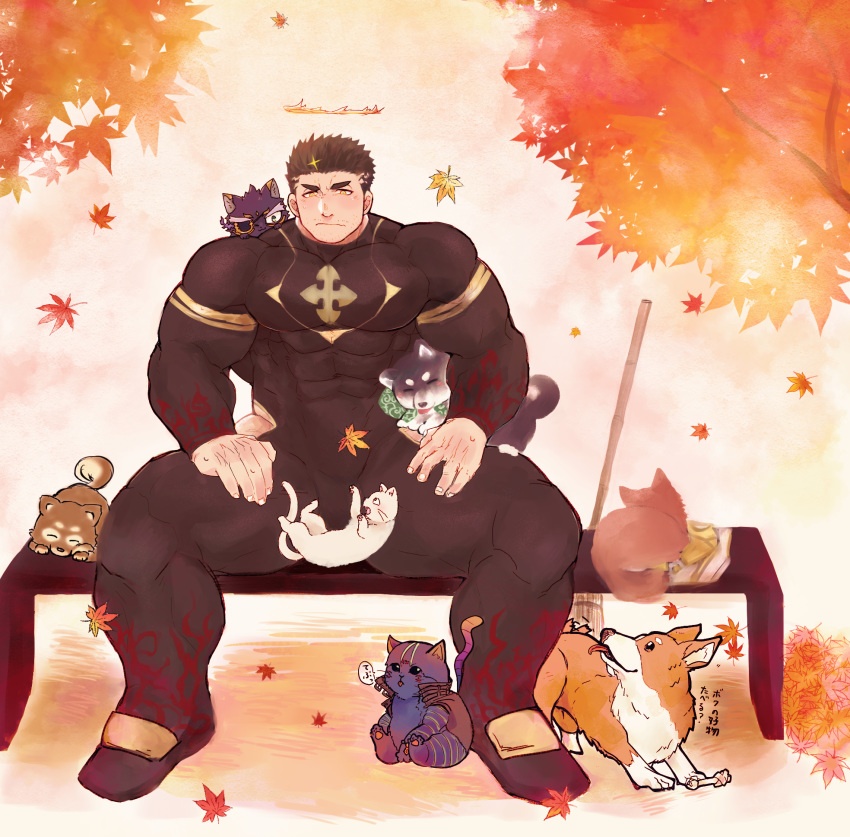 1boy animal_on_lap autumn_leaves bad_id bad_pixiv_id bara black_bodysuit black_hair blush bodysuit brown_fur canine cat_on_lap chibi clothing_cutout covered_abs facial_hair feline fox full_body halo highres jaguar_boy large_pectorals leaf looking_at_viewer male_focus maple_leaf muscular muscular_male on_lap pectorals po_fu short_hair sitting stubble tezcatlipoca_(housamo) thick_thighs thigh_cutout thighs tokyo_afterschool_summoners yellow_eyes zabaniyya_(housamo)