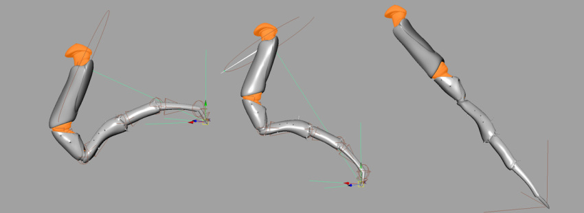 BBooru - 3d anatomy animal insects leg legs no humans okapi ...
