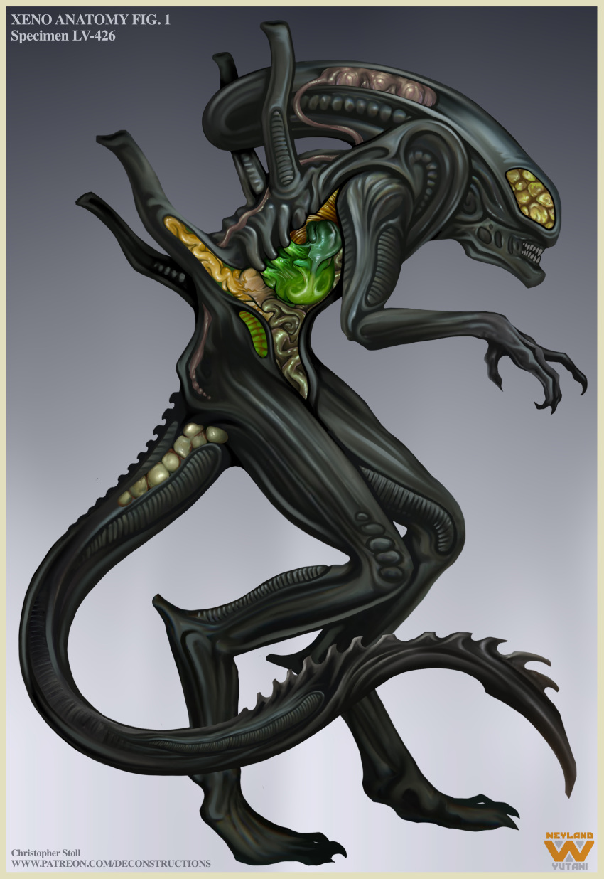 BBooru - absurd res alien alien (franchise) ambiguous gender anatomy ...