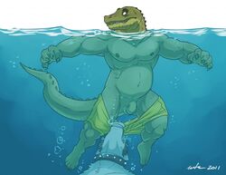 2011 anthro balls belly biceps black_hair canine chubby claws clothing collar crocodile fur hair hindpaw husky langdon male male_only muscles nipples nude paws pecs penis pulling reptile scalie simple_background spikes swimming swimsuit teeth underwater undressing water wet wfa rating:Explicit score:10 user:bot