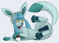 ace barefoot blue_fur blue_penis collar color erection feral forepaws fur glaceon hindpaw knot lying male male_only nude paws penis plain_background poke_ball pokemon presenting raised_tail side_view solo testicles tongue white_pupils yellow_eyes zeonart rating:Explicit score:3 user:bot