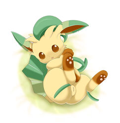 color female female_only feral fur leafeon lying nude on_back pokemon schnecken solo tagme vulva rating:Explicit score:3 user:bot