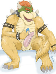  bowser male_only mario_(series) nintendo tagme tojo_the_thief  rating:explicit score: user:bot