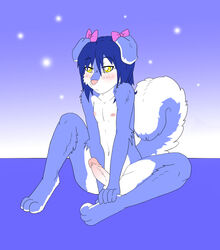 3_toes 5_fingers anthro barefoot blue_fur blue_hair blush bow canine cute dog erection femboy front_view fur furry furry_ears furry_tail futanari hair husky ian intersex liontaro male male_only mutt nipples nude open_eyes penis sitting solo tail white_fur yellow_eyes rating:Explicit score:4 user:bot