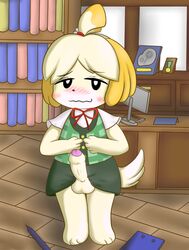 1futa 2d animal_crossing anthro barefoot black_eyes blonde_fur blonde_hair blush canine clipboard closed_mouth clothes color crossdressing desk doubutsu_no_mori erection front_view fur furry furry_tail futanari hair indoors isabelle_(animal_crossing) keyboard looking_at_viewer male male_only monitor nintendo office_futa office_man pen penis shizue_(doubutsu_no_mori) short_hair solo solo_futa standing straight_hair tail testicles uncut unknown_artist rating:Explicit score:21 user:bot