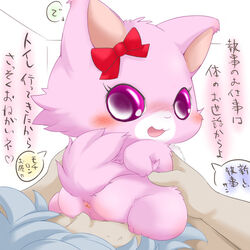 1boy 1girls anus big_eyes blush cute duo facesitting feline female feral fluffy garnet_(jewelpet) hands human interspecies japanese_text jewelpet jewelpet_(species) male pink_eyes pussy ribbons sex size_difference text white_background zoophilia rating:Explicit score:8 user:bot