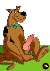 1boy balls canine dreiker furry hanna-barbera male male_only no_humans penis plain_background scooby-doo scooby-doo_(character) solo testicles uncensored white_background rating:Explicit score:19 user:bot