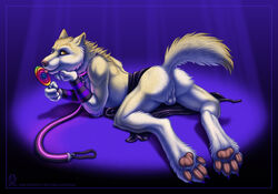 1boy 2013 4_toes anthro anus artist_logo artist_name artist_website ass balls ballsack barefoot beige_fur body_fur candy canine claws collar color digitigrade food furry furry_ass furry_ears furry_tail heterochromia holding leash licking lollipop looking_back lying male male_only mammal mostly_nude_male on_front orange_eyes perineum pink_nose pointy_ears raised_tail scrotum smile solo tail testicles tongue ultraviolet_(artist) white_fur wolf yellow_eyes rating:Explicit score:8 user:bot