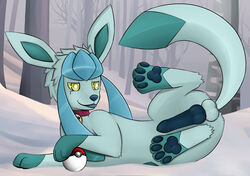  1boy canine collar digitigrade erection glaceon knot lying male male_only nintendo paws penis pokemon presenting solo tongue video_games zeonart  rating:explicit score: user:bot