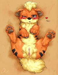 color dimwitdog female female_only front_view fur furry growlithe nintendo pokémon_(species) pokemon pussy solo vulva rating:Explicit score:17 user:bot