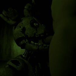 2boys animatronic deepthroat erection faceless_male fellatio ffp3d five_nights_at_freddy's five_nights_at_freddy's_3 fnaf furry gay human looking_at_another male male/male male_only nude penetration penis rabbit sex springtrap springtrap_(fnaf) sucking rating:Explicit score:23 user:shadow099