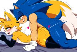 2boys ai_generated bedroom big_ass doggy_style elbow_gloves femboy furry gay gloves hearts mullon muscular_male novelai prone_bone sex sonic_(series) sonic_the_hedgehog sonic_the_hedgehog_(series) tails_the_fox thighhighs yaoi rating:Explicit score:93 user:Mullon