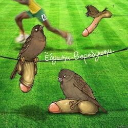 4boys avian bird football grin human male male_only multiple_males penis sparrow sparrow_(bird) what rating:Explicit score:10 user:bot