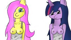 anthro fluttershy_(mlp) friendship_is_magic my_little_pony rraawwrr123 straight_hair twilight_sparkle_(mlp) rating:Explicit score:0 user:bot