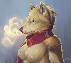 2011 anthro breasts canid canine cold female mammal nude scarf solidasp solo winter rating:questionable score: user:anonymous