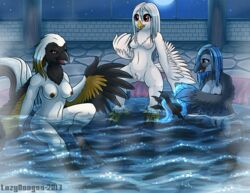 2013 avian beak blue_eyes blue_hair brown_eyes feathers female group hair lazydoogan night nipples nude owl pussy sitting spread_legs spreading talons towel water white_hair wings rating:Explicit score:28 user:bot