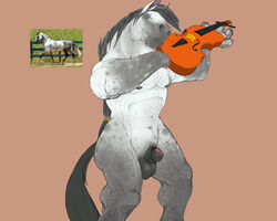 1boy anthro balls equine flaccid horse male male_only musical_instrument narse penis photo reference_image solo violin rating:Explicit score:2 user:bot