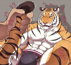 abs anthro bulge feline fur furry giraffe_(artist) lion male male_only muscles solo_focus stripes tail_grab tiger rating:Explicit score:9 user:bot