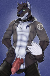 1boy 2014 abs animal_genitalia anthro balls canine clothing collar fleki hoodie knot male male_only mammal muscles open_clothes open_shirt pants penis shirt solo spiked_collar wolf rating:Explicit score:7 user:bot