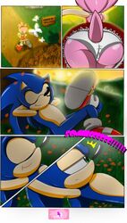 amy_rose anthro color comics dialogue english_text female furry furry_only green_eyes hedgehog male mammal nobody147 outdoors smile sonic_(series) sonic_the_hedgehog text rating:Explicit score:16 user:Supersonicporn