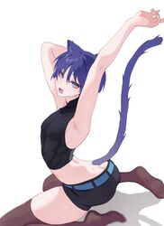 1boy armpits arms_up ass blue_eyes blue_hair butt_crack cat_ears cat_tail catboy chobonu clothed genshin_impact looking_at_viewer male_only scaramouche_(genshin_impact) shorts solo stretching thighhighs twink rating:Questionable score:35 user:Monalicious