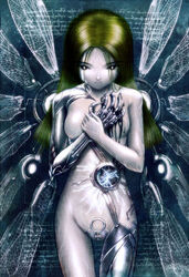  bionic cyborg green_hair lowres robot s_zenith_lee wings  rating:questionable score: user:bot