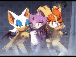 2014 anthro areola bat big_breasts blaze_the_cat breasts erect_nipples feline female group lagomorph mammal milf mother nancher nipples nude parent pussy rabbit rouge_the_bat sega shower sonic_(series) sonic_the_hedgehog_(series) vanilla_the_rabbit rating:Explicit score:72 user:bot