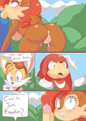 anthro blue_fur cloudz echidna female fur furry hedgehog knuckles_the_echidna male mammal monotreme sally_acorn sega sonic_(series) sonic_the_hedgehog straight tagme tails team_sonic rating:Explicit score:34 user:bot