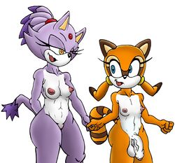 anthro blaze_the_cat breasts damian_hodge dickgirl duo flat_chested futanari humanoid_penis intersex marine_the_raccoon orgasm penis plain_background sonic_(series) uncut wide_hips rating:Explicit score:2 user:bot