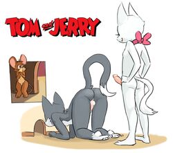 2015 all_fours anthro ass backsack balls bow breasts cutaway dickgirl erection feline group humanoid_penis imminent_anal imminent_sex intersex jerry_mouse male mammal mouse nude penis plantigrade rodent small_breasts sparkydb stare surprise_buttsex tom_and_jerry tom_cat toodles_galore rating:Explicit score:47 user:bot