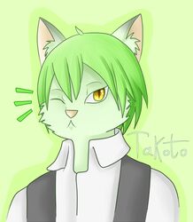 anthro arc_system_works blazblue clothing domestic_cat felid feline felis green_background green_hair hair hazama_(blazblue) male mammal one_eye_closed simple_background solo takoto wink yellow_eyes rating:safe score: user:anonymous