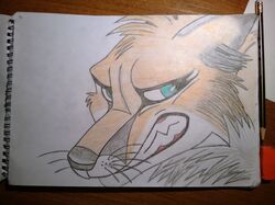 ambiguous_gender angry blue_eyes canid canine fox mammal rainbowfox simple_background solo traditional_media_(artwork) rating:safe score: user:anonymous