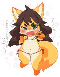  angry artist_request bikini black_hair fox furry green_eyes long_hair open_mouth  rating:questionable score: user:bot