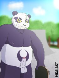  alp_(tokyo_afterschool_summoners) balls bear big_balls blurred_background blurry_background chubby erection furry furry_only genitals mkaiast naked nipples nude panda pantless penis shirtless skateboard solo_male tokyo_afterschool_summoners uncut  rating:explicit score: user:bot