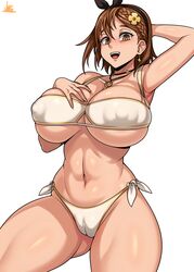 atelier_ryza big_breasts bikini breasts breasts_bigger_than_head brown_eyes brown_hair cameltoe huge_breasts jmg nipples_visible_through_clothing reisalin_stout smiling rating:Explicit score:24 user:ElecLurker