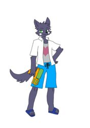  anthro canid canine canis clothed clothing fur gholoxy34 grey_body grey_fur hi_res kemono male mammal nifram_logan solo songkran toy toy_gun water_gun wolf  rating:safe score: user:bot