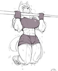 abs animal_ears breasts closed_eyes dog_girl felicia_(krekk0v) female female_only gloves krekk0v large_breasts monochrome muscles muscular_female pull_ups shorts solo sweat tail rating:Questionable score:105 user:R-998