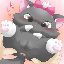 1girls anus big_eyes blush bow cute diana_(jewelpet) feline female female_only feral fur hands hindpaw human japanese_text jewelpet jewelpet_(species) looking_at_viewer pawpads paws pov pussy sanrio simple_background solo spread_anus spread_legs spreading suvaru rating:Explicit score:10 user:bot