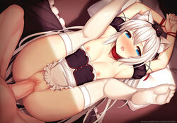 1boy 1girls animal_ears armpits arms_above_head arms_up azur_lane bare_shoulders bed blue_eyes blush bondage bottomless bound bound_wrists bow breasts cat_ears censored collar detached_sleeves exposed_breasts female hair_ornament hairbow hammann_(azur_lane) legs_over_head legs_up long_hair lying mosaic_censoring nipples no_bra no_panties no_shoes oerba_yun_fang on_back open_mouth penis pillow puffy_short_sleeves puffy_sleeves revision rope sex shirt_down short_sleeves skindentation small_breasts spread_legs straight thighhighs vaginal_penetration very_long_hair white_hair white_legwear zen33n zen_o_(zen33n) rating:Explicit score:114 user:bot