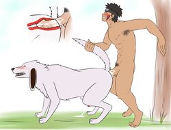 2boys akamaru_(naruto) anal anal_sex armpit_hair armpits barefoot bestiality black_hair blush cum cum_in_ass cum_inside cumshot doggy_style domestic_dog dripping dripping_cum ejaculation feet forehead_protector gay horrible_anatomy inuzuka_kiba male male_on_feral male_only naked naruto naruto_shippuden nude on_all_fours penis pubes pubic_hair tan_skin toes x-ray yaoi zen4don zoophilia rating:Explicit score:66 user:sakuragutba