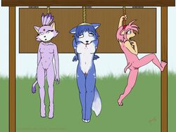 amy_rose anthro asphyxiation barefoot beige_skin bindi black_nose blaze_the_cat bleeding blood blood_stain blue_fur blue_hair breasts canine cat claw_mark claws color crossover day death feline female female_only fox fur furry furry_breasts furry_ears furry_tail green_eyes hair hanged hedgehog interspecies krystal mammal multiple_girls nude open_eyes open_mouth outdoors pink_fur pink_hair pointy_ears princess purple_fur purple_hair pussy rope snuff sonic_(series) star_fox straight_hair tail video_game white_fur yellow_eyes rating:Explicit score:6 user:bot