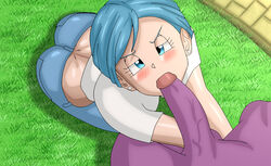 anthro_on_human beerus blush bulma_briefs cheating dragon_ball dragon_ball_super fellatio god_of_destruction looking_up magnificentsexygals rating:Explicit score:82 user:MagnificentSexyGals