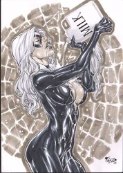 2015 abstract_background big_breasts black_cat_(marvel) black_clothing breasts closed_eyes curvy dated ed_benes_studio felicia_hardy female female_only fred_benes fur human liquid long_hair marvel mask milk milk_jug pinup pouring pouring_on_self signature solo spider-man_(series) superheroine tight_clothing voluptuous wet wet_clothes white_fur white_hair zipper zipper_pull_tab rating:Questionable score:60 user:JackieEstacadoThrowaway