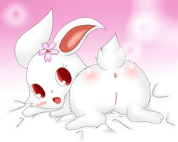 1girls anus ass back_view blush color female female_only feral flower from_behind fur furry_ears furry_tail jewelpet jewelpet_(species) lagomorph long_ears looking_at_viewer looking_back makuran nude open_mouth pussy rabbit raised_tail red_eyes ruby_(jewelpet) simple_background solo tail vulva white_fur rating:Explicit score:6 user:bot