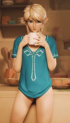 1boy 3d aqua_eyes bare_legs blonde_hair blue_eyes breath_of_the_wild clothing elf femboy femboy_focus femboy_only fugtrup link link_(breath_of_the_wild) looking_at_viewer male male_only mug nintendo no_sex pale_skin pretty_boy solo solo_femboy solo_focus solo_male tears_of_the_kingdom the_legend_of_zelda twink rating:Questionable score:424 user:Bitch_of_Onore