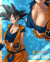 1girls big_breasts black_eyes black_hair cleavage clothed clothing dragon_ball dragon_ball_z female female_goku genderswap_(mtf) kameseru ripped_clothing rule_63 saiyan son_goku turtle_school_uniform rating:Explicit score:134 user:Rule63DragonBallRp