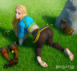 1girls 3d all_fours ass barefoot big_ass blonde_hair breath_of_the_wild clothed dat_ass feet female female_only foot_fetish frog grass green_eyes long_hair looking_at_viewer looking_back looking_up necdaz91 nintendo outside princess_zelda shoes_removed skin_tight soles solo the_legend_of_zelda tight_clothing tight_pants zelda_(breath_of_the_wild) rating:Questionable score:560 user:Arutoria