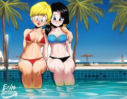 2girls arm_around_shoulders bikini blonde_hair dragon_ball dragon_ball_z echosaber erasa female female_only multiple_girls shounen_jump smiling swimming_pool twintails videl rating:Questionable score:231 user:Freezer88